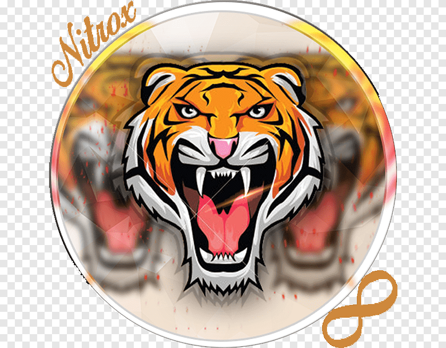 Casino Tigre